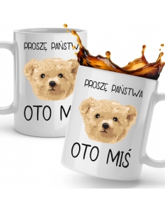 Oto miś 2