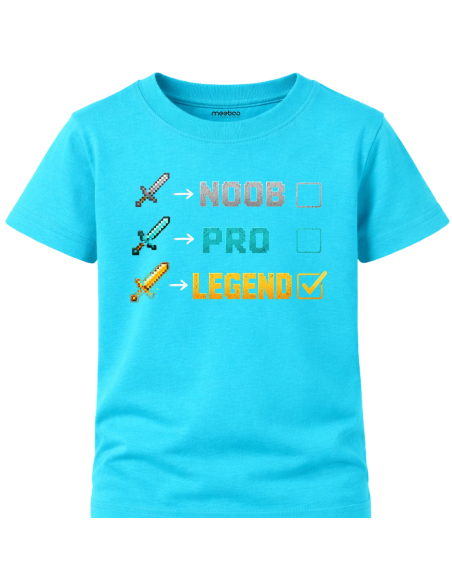 Koszulka Dziecięca - Minecraft Level Legend
