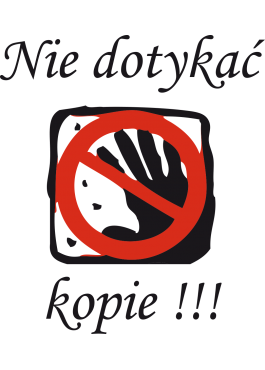 KOSZULKA CIĄŻOWA NIE DOTYKAĆ 2